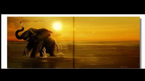 ▶️ A Tarek So True Animation 🎥